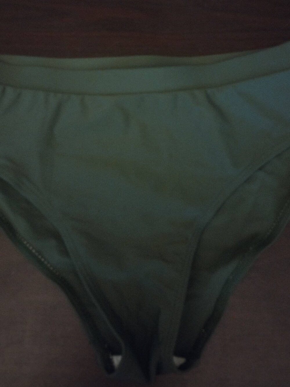 NWOT High-Waist Bikini Bottoms in Deep Army Green XL